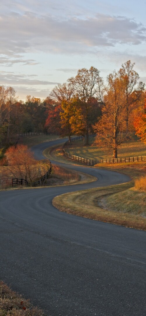 roads-mobile_71.jpg