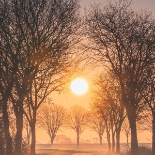 roads-mobile_73