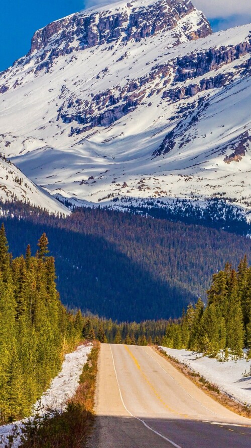 roads-mobile_76.jpg