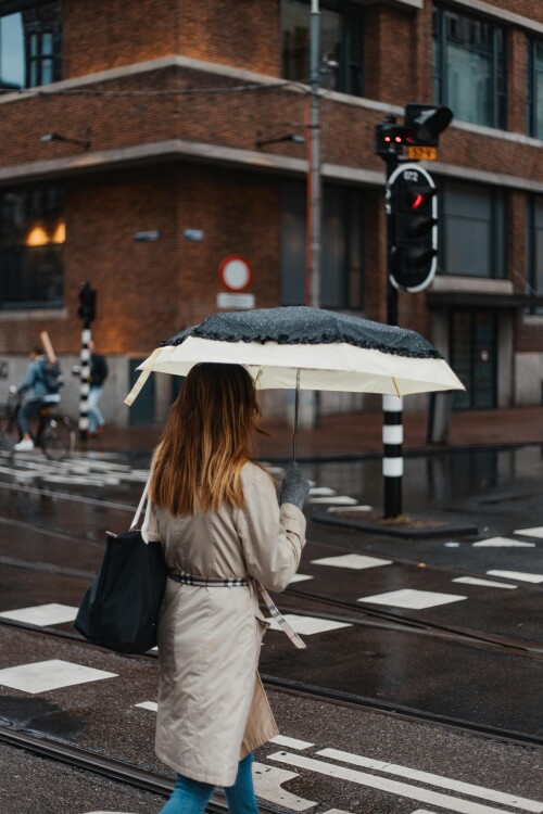 Amsterdam_0436.jpeg