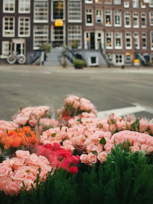 Amsterdam_0466.jpeg