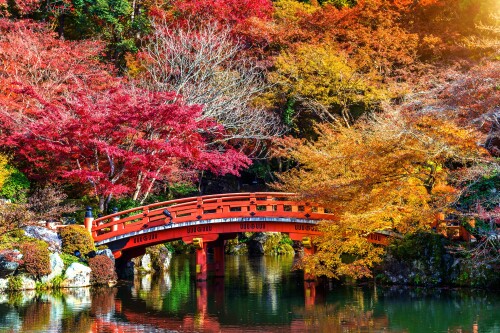 Bridge 292