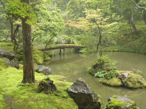 Bridge-_372.jpeg