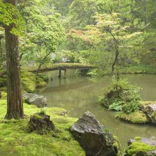 Bridge-_372