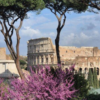 Rome_0094