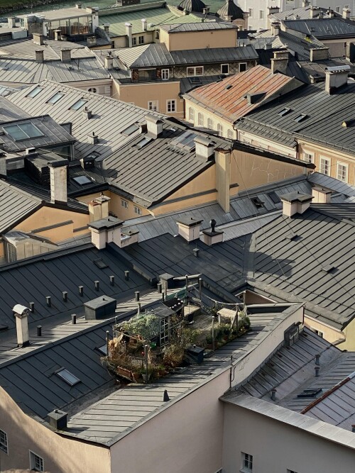 Salzburg_0115.jpeg