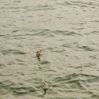Venice_0898