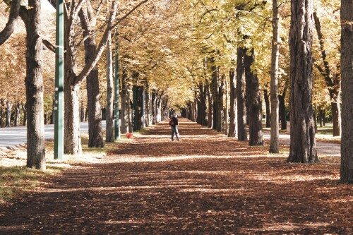 Vienna_0447.jpeg