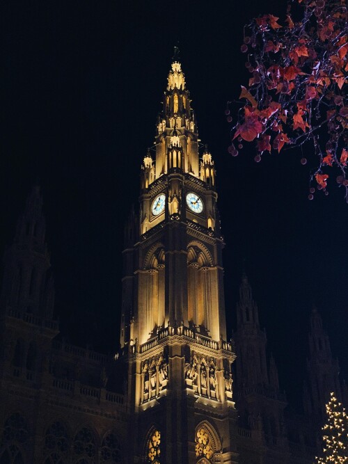 Vienna_0479.jpeg
