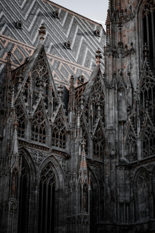 Vienna_1088.jpeg