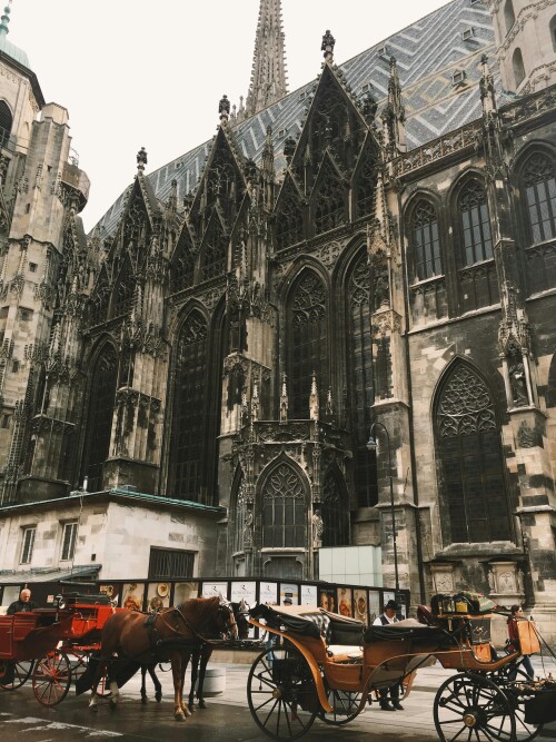 Vienna_1126.jpeg