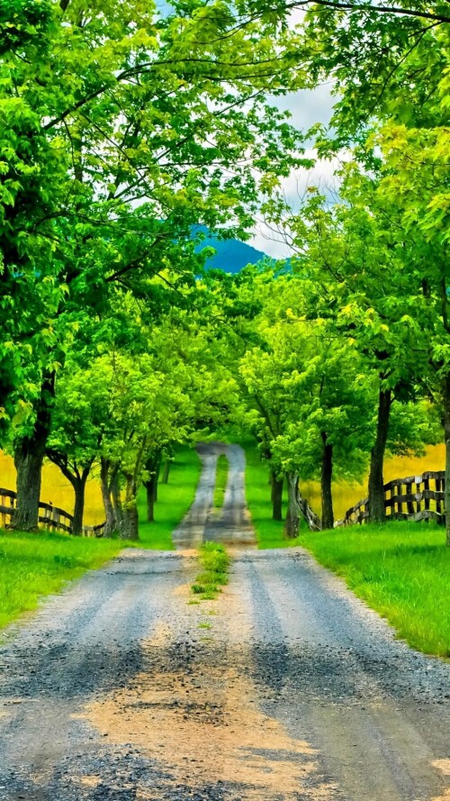 roads-mobile_10.jpg