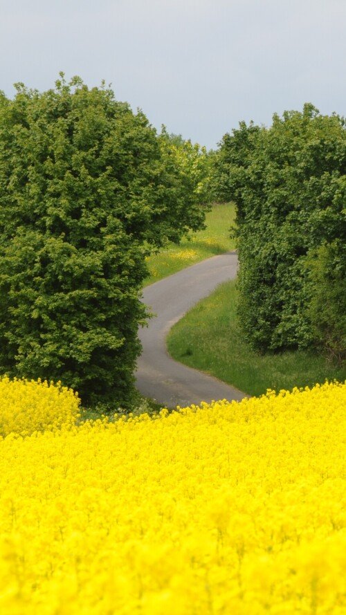 roads-mobile_13.jpg