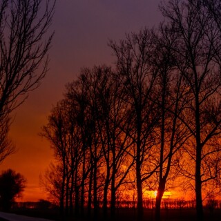 roads-mobile_15