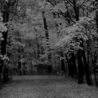 roads-mobile_19
