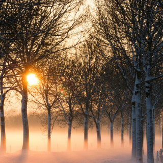 roads-mobile_26