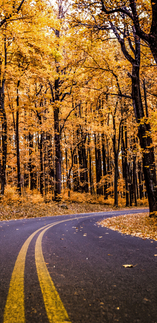 roads-mobile_27.jpg