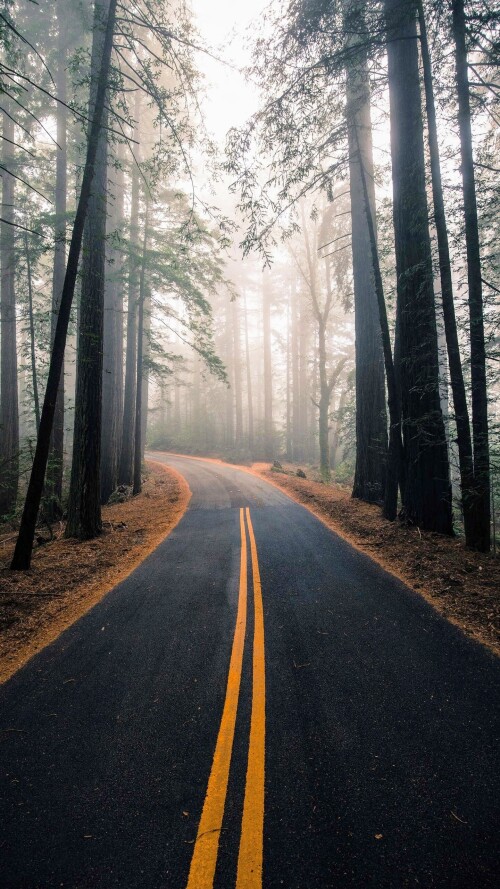 roads-mobile_31.jpg