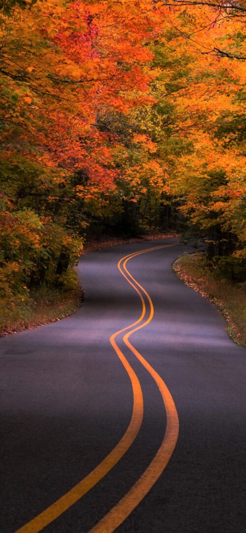 roads-mobile_33.jpg