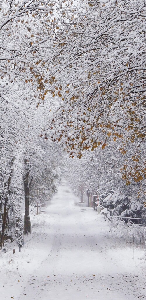 roads-mobile_45.jpg