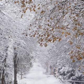 roads-mobile_45