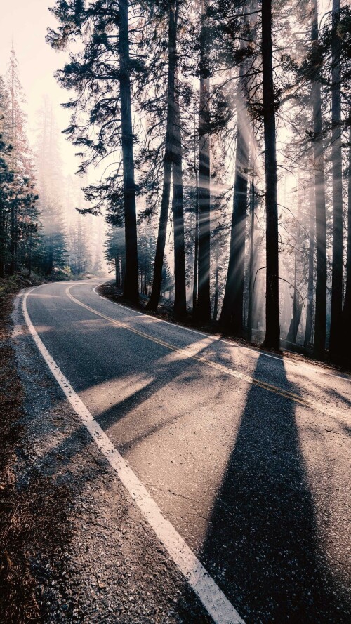 roads-mobile_50.jpg