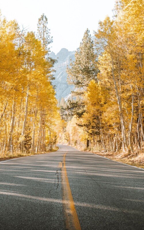 roads-mobile_55.jpg