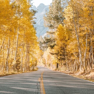 roads-mobile_55
