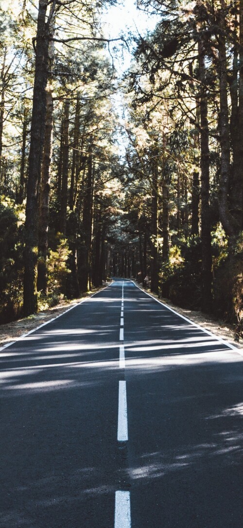 roads-mobile_57.jpg