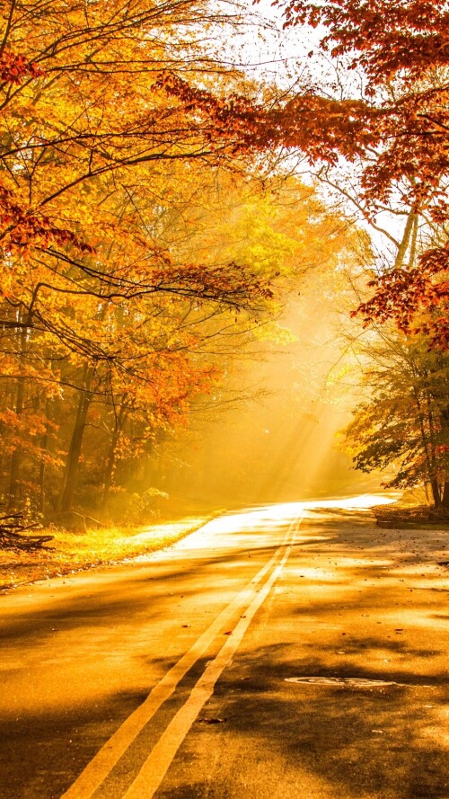 roads-mobile_58.jpg