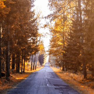 roads-mobile_65