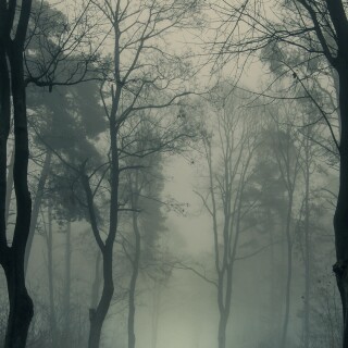 roads-mobile_66