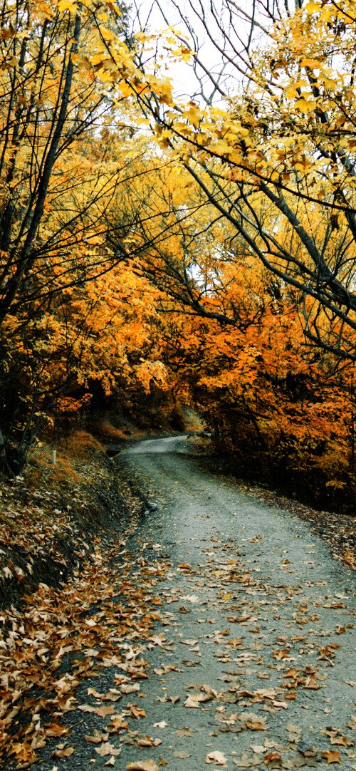 roads-mobile_70.jpg