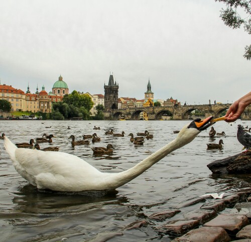 Prague_137.jpeg