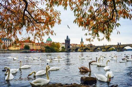Prague_347.jpeg