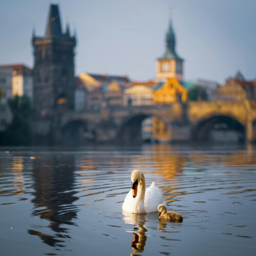 Prague_357.jpeg