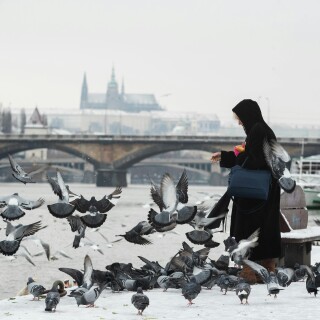 Prague_382