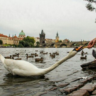 Prague_137