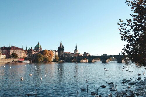 Prague 279