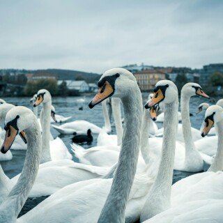 Prague_319