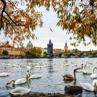 Prague_347