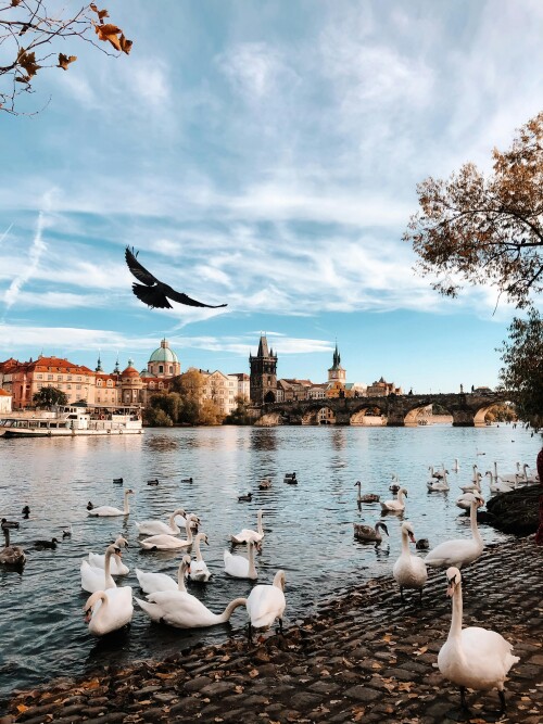 Prague 353