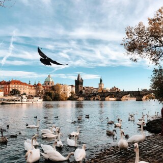 Prague_353