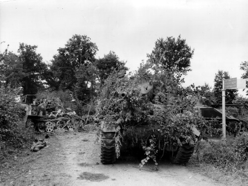Tanks_0338.jpg