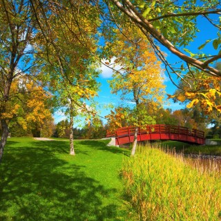 Parks_0386