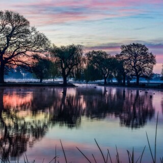 Parks_0387