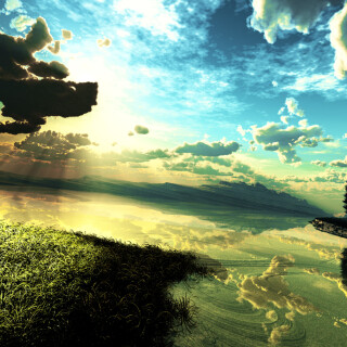 Trees_0248