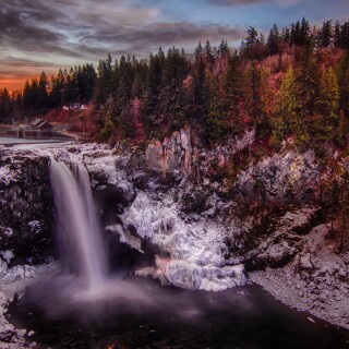 Forest_402