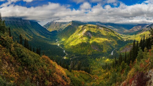 Forest_414.jpg