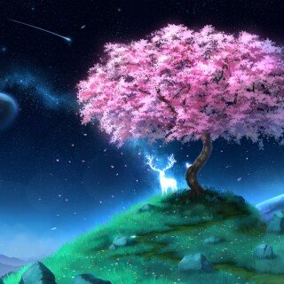 Trees_0046
